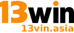 13vin-logo